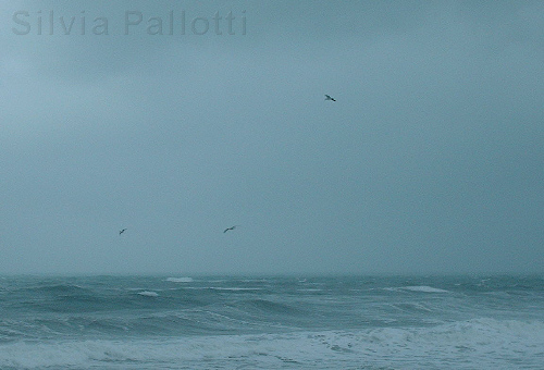 MARZO: mareggiata a Levanto